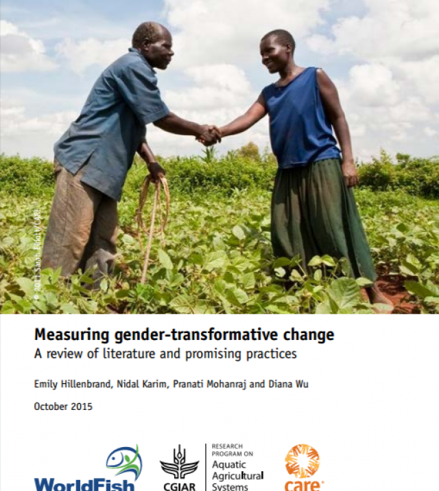 Download Resource: Measuring Gender-Transformative Change: A Review of Literature and Promising Practices