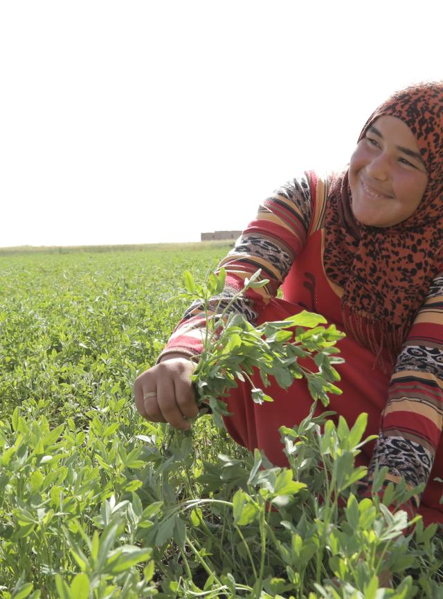 Dalia Yousri, une jeune femme, soutient sa famille grâce à l'agriculture en Égypte