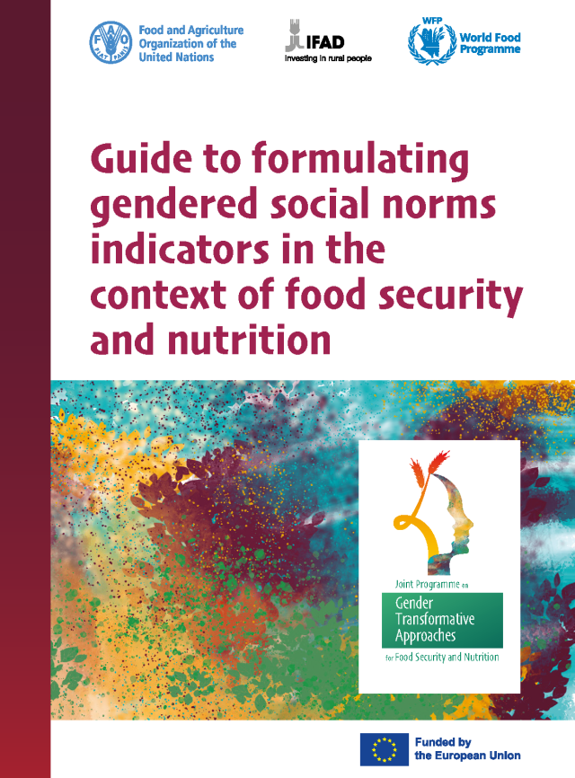 Cover page for Guide to Formulating Gendered Social Norms Indicators in the Context of Food Security and Nutrition