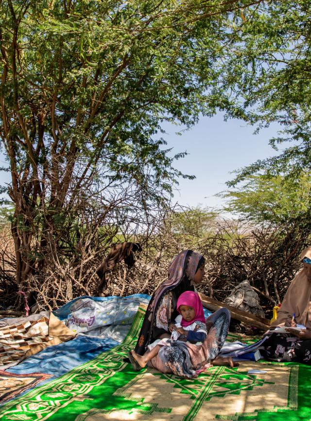 Deux femmes et un petit enfant sont assis sur un tapis vert sous des arbres en Somalie.