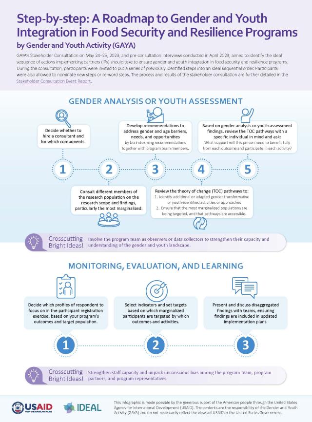 Infographic highlighting the key points of the resource "Step-by-step: A Roadmap to Gender and Youth Integration in Food Security and Resilience Programs" (page 2 of the text).