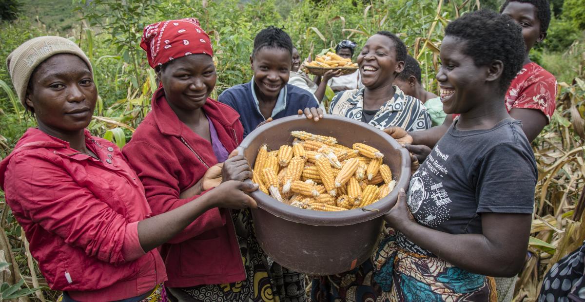 Un groupe de mères communautaires brandit du maïs frais de leur jardin communautaire dans le district de Zomba, au Malawi
