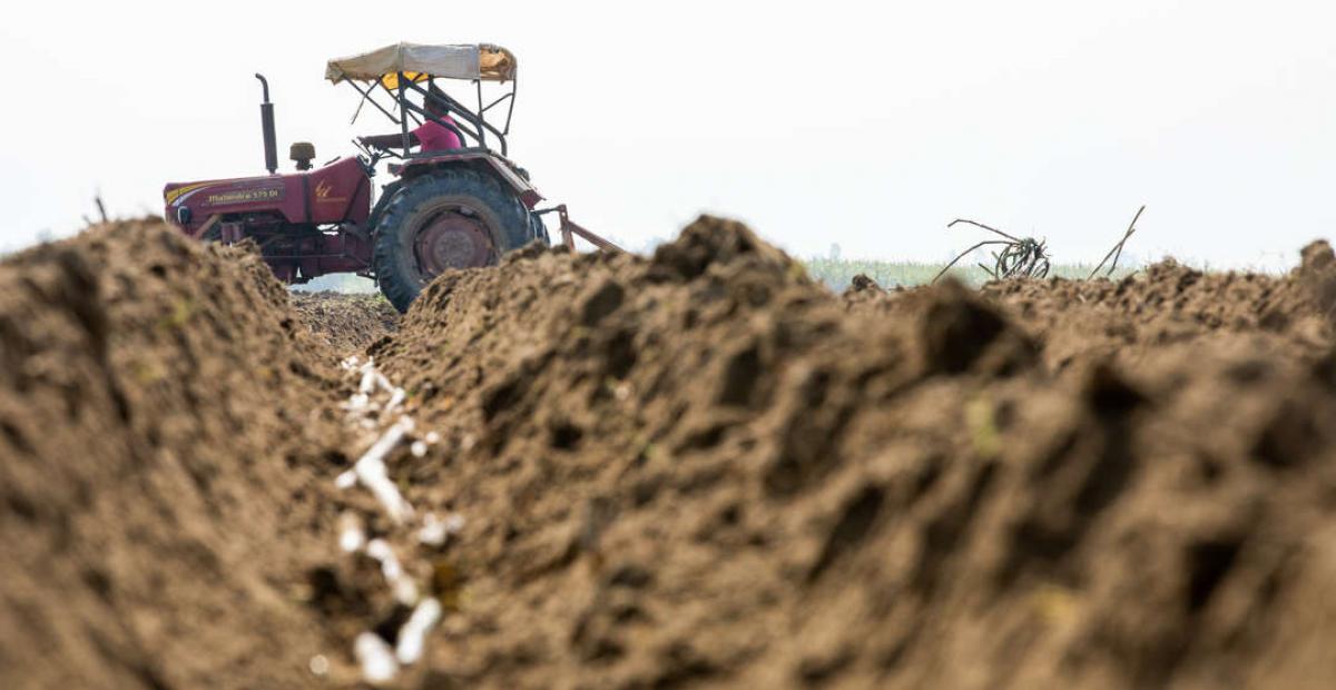Image of a tractor driving through the perspective of a dug out line with new seeds