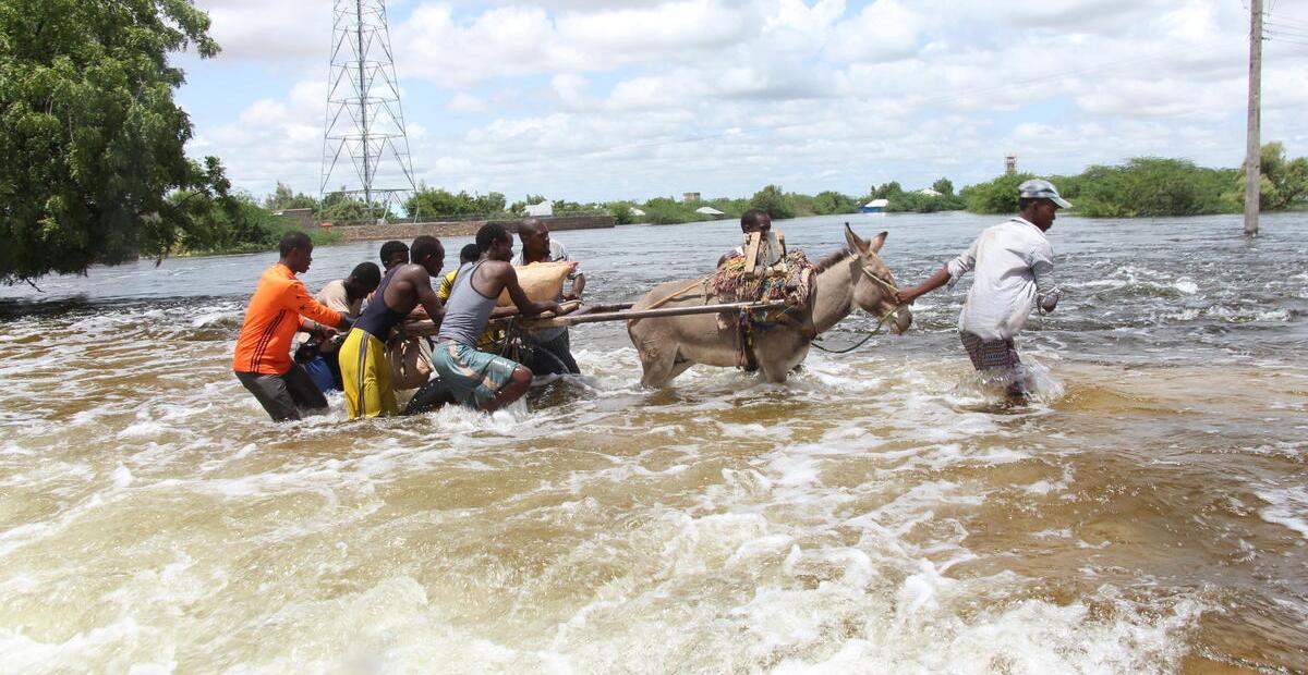 A group of people ford a river with a donkey pulling a cart