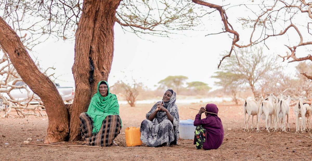 Three women sit under a tree with a heard of goats in the background