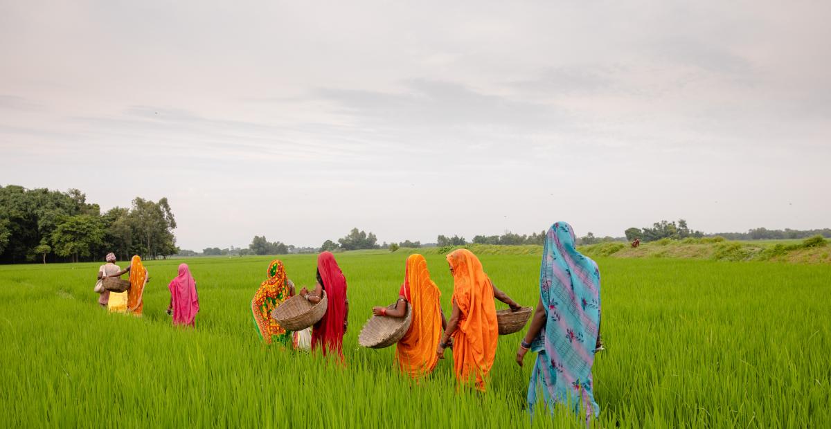 A group of women are walking in a field