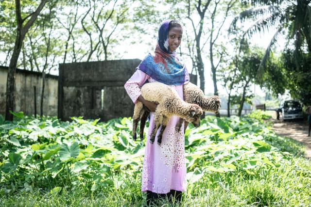 photo of woman holding animals