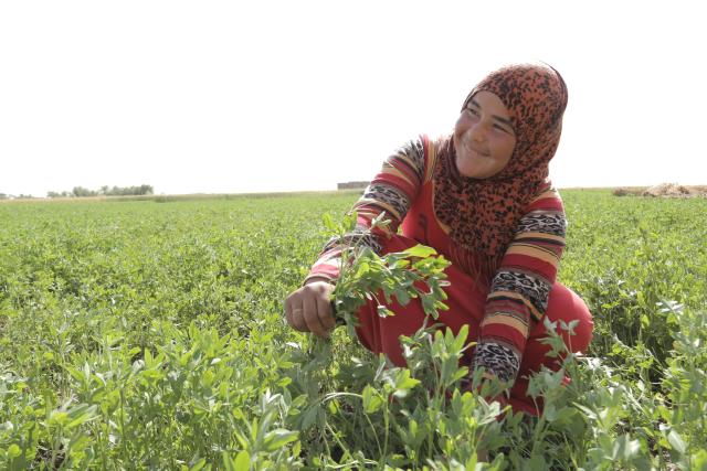 Dalia Yousri, a young woman, supports her family through agriculture in Egypt