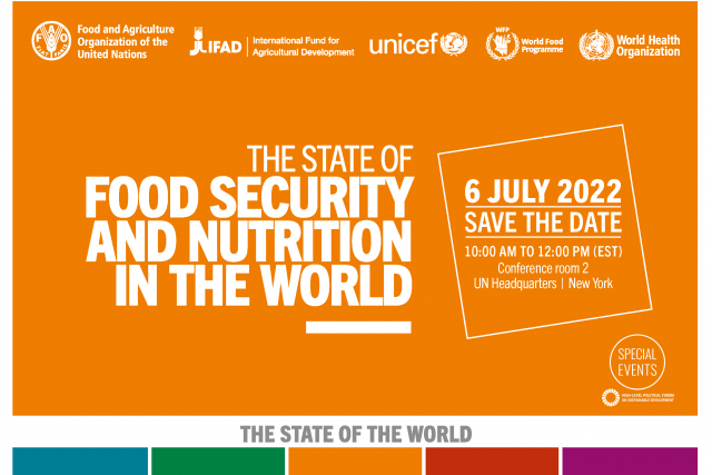 Orange promo card for Food Security and Nutrition in the World 
