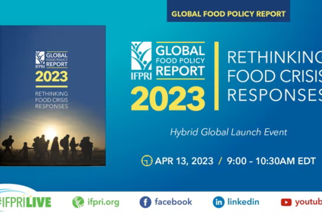Promotional graphic for the 2023 Global Food Policy Report launch event