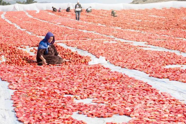 A woman sits and works in the production of sun-dried tomatoes in Turkey.