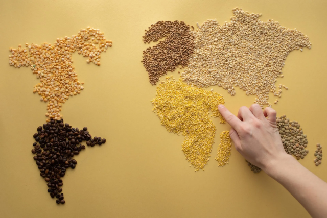 A map of the world made out of millet, with a arm and hand reaching out of the bottom right corner pointing to the Horn of Africa
