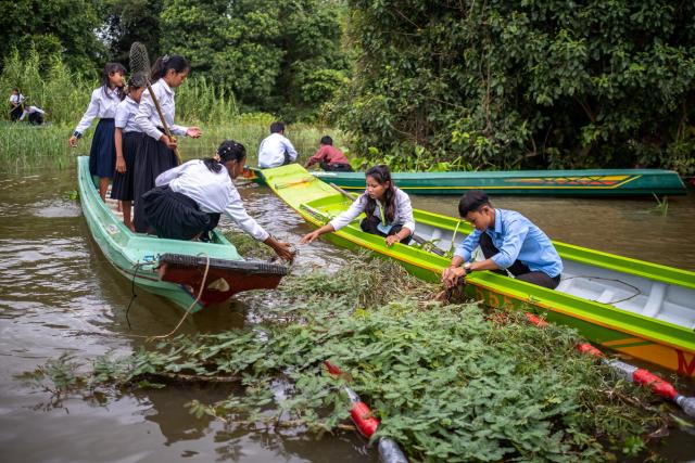 Young people harvesting plants from a floating garden in Cambodia.