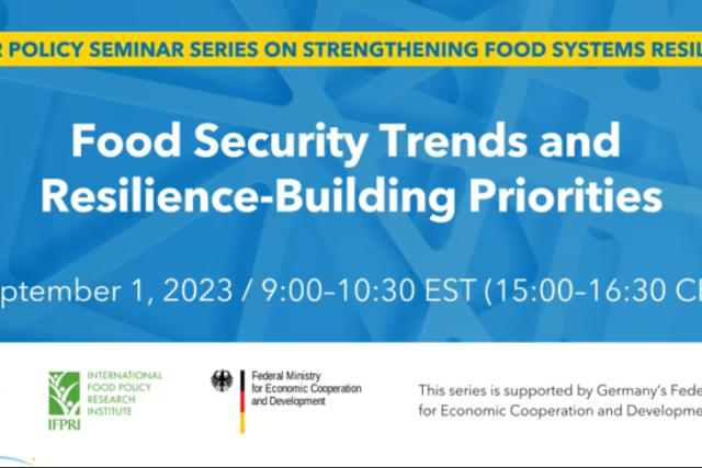 Promotional Graphic for Food Security Trends and Resilience-Building Priorities