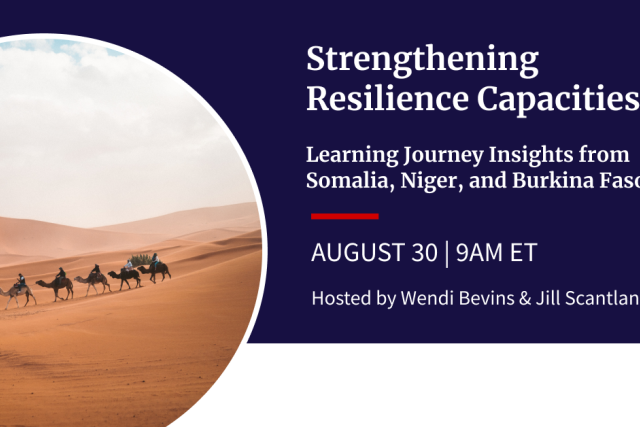 Promotional graphic for Strengthening Resilience Capacities: Learning Journey Insights from Somalia, Niger, and Burkina Faso