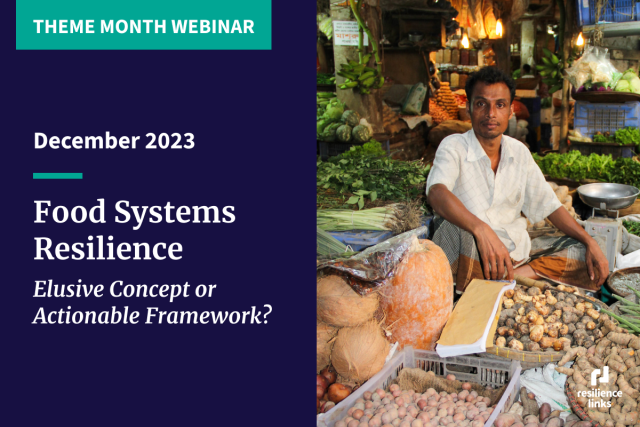 Promotional graphic for Food System Resilience: Elusive Concept or Actionable Framework? featuring a man sitting at his food stall displaying his goods.