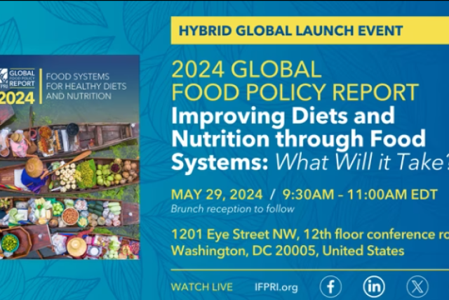 Cover page for 2024 Global Food Policy Report: Improving Diets and Nutrition through Food Systems: What Will it Take?